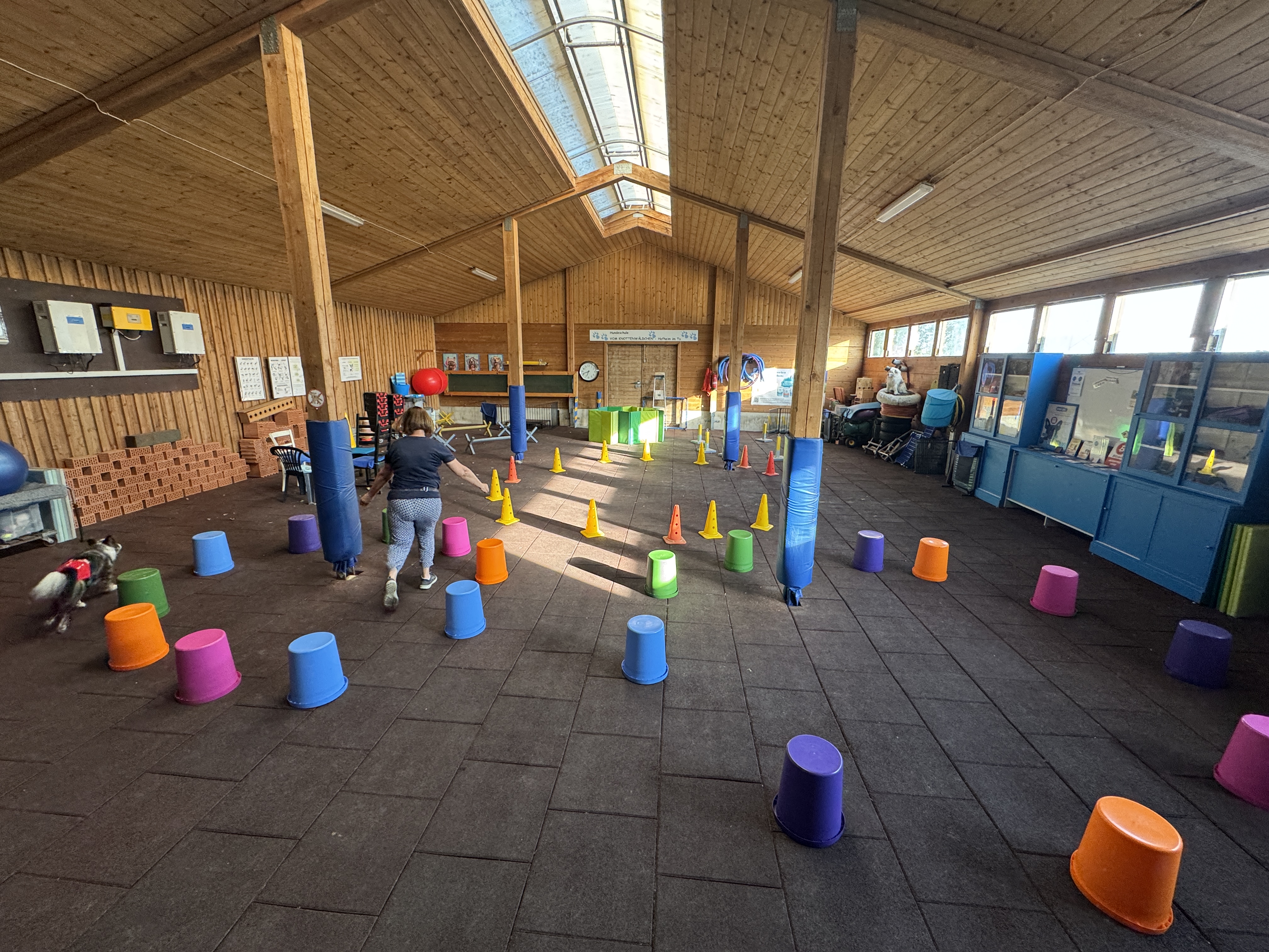 Blick in die Halle der Hundeschule mit abgestecktem Longierkreis