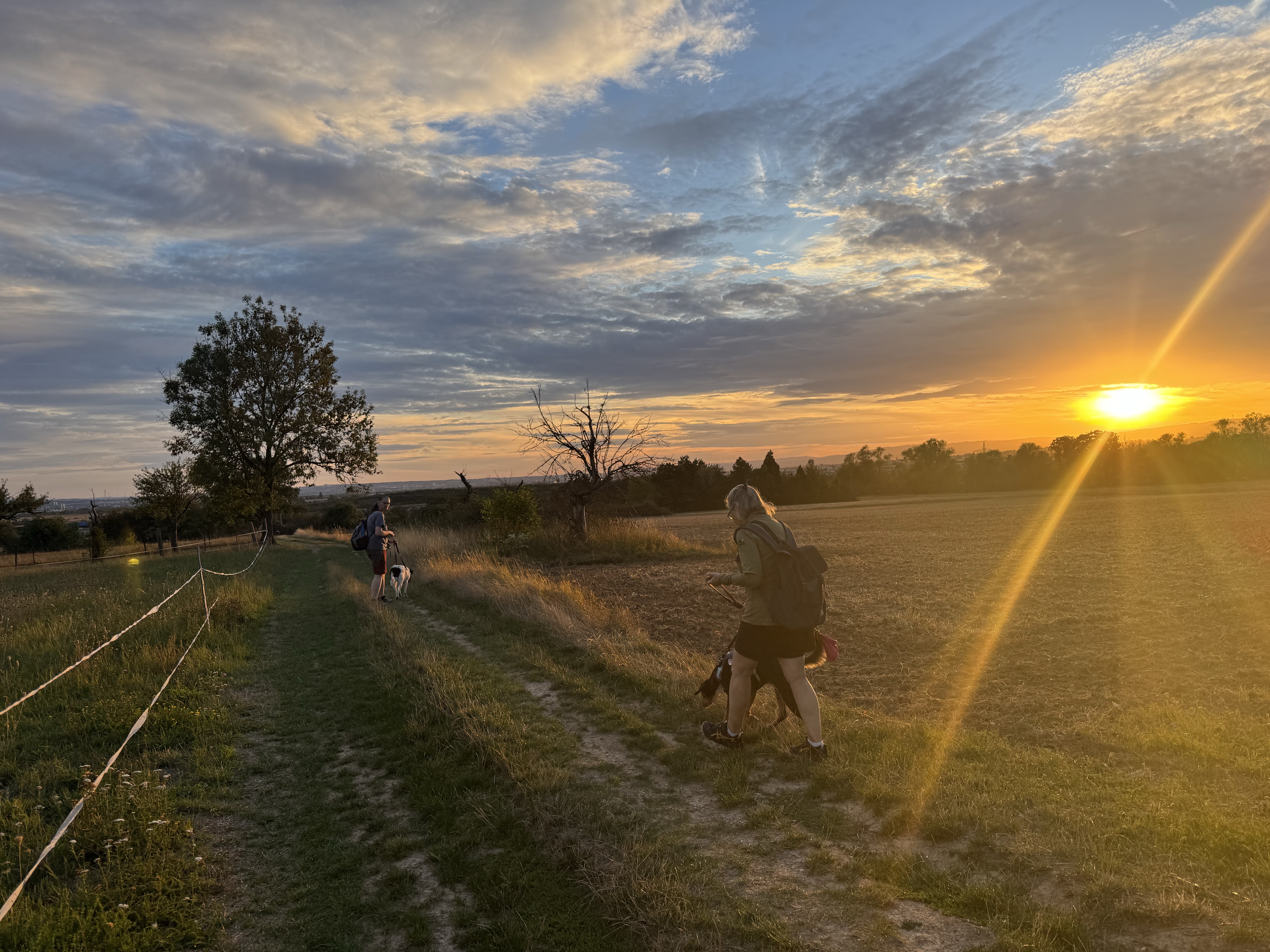 Alltagsgruppe beim Outdoor-Training im Sonnenuntergang