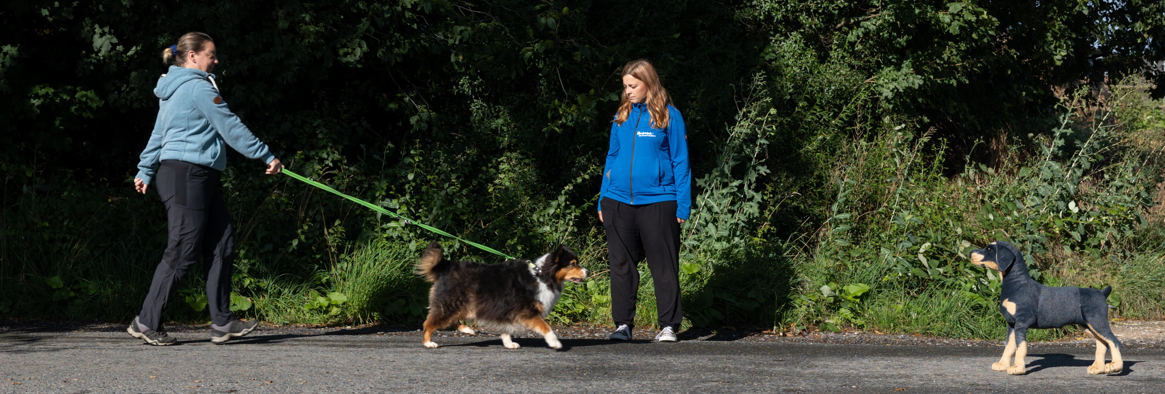 Einzeltraining Hundeschule vom Knottenwäldchen Hofheim – Trainerin begleitet Hund und Hundebesitzerin beim Spaziergang